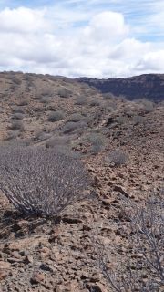 2022-03-GranCan-Taurito-Trekking-PM-NN-47.JPG